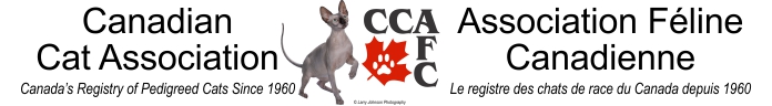 CCA Banner